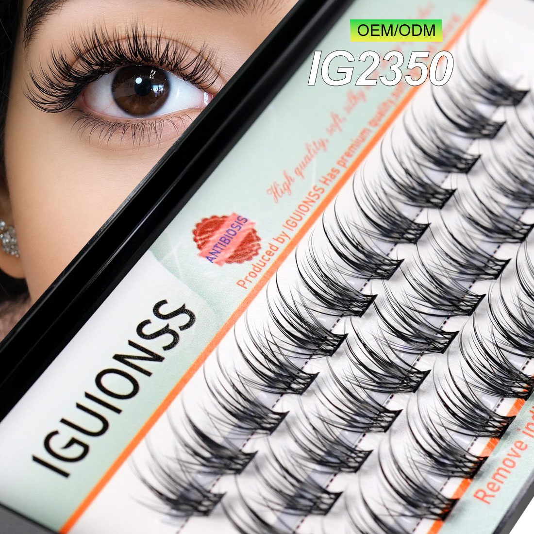 IGUIONSS OEM ODM Parçalı Kirpi - Eyelash Extension Equipment incelemesi ve fiyatı